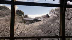 臥雲橋から見た通天橋。