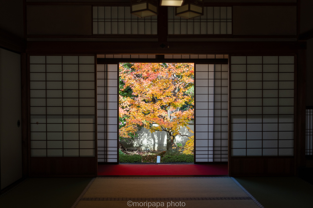 秋の縁側、雲龍院。