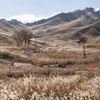 砥峰高原。