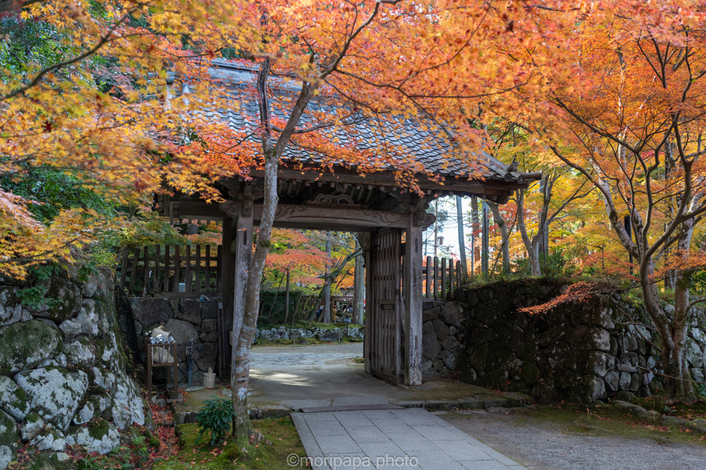 金剛輪寺、白門。