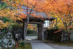 金剛輪寺、白門。