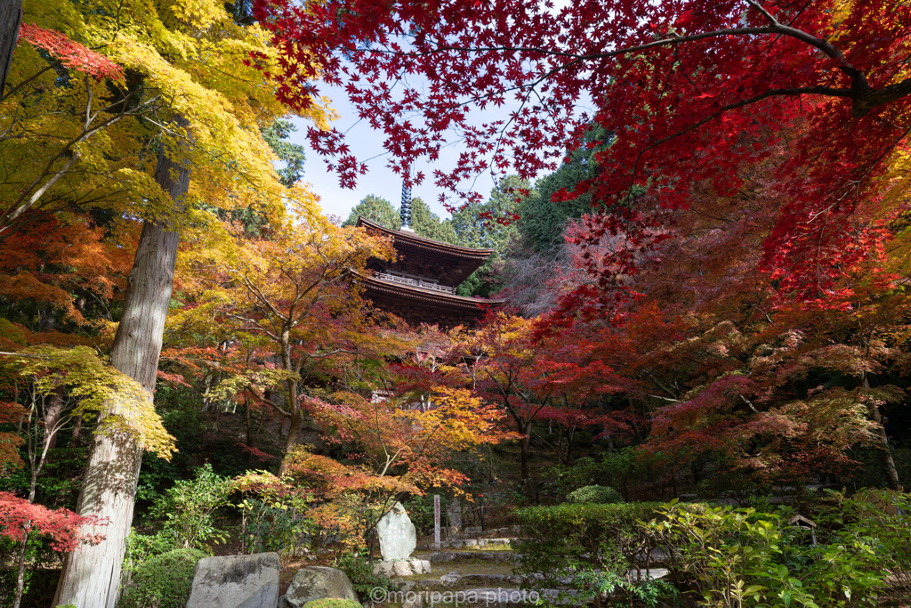 金剛輪寺の秋。