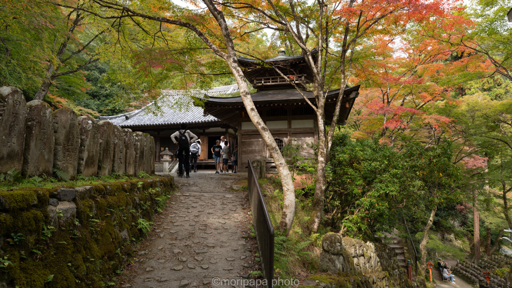 愛宕念仏寺。