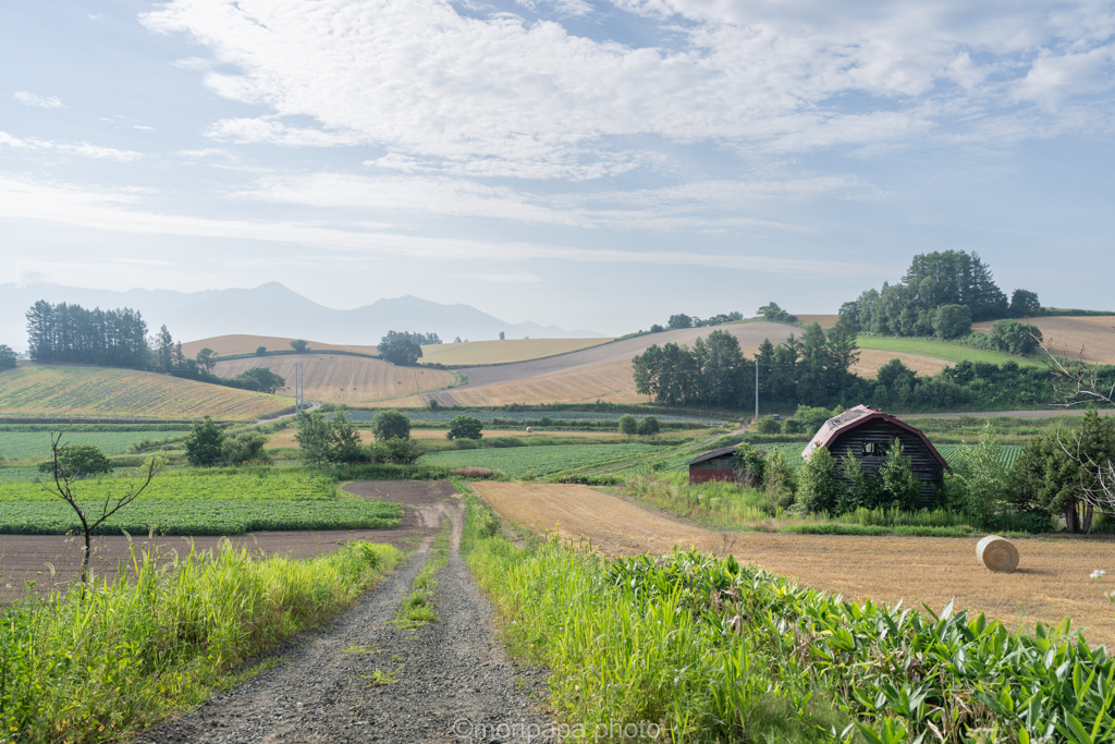 上富良野風景。