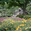 草津、みずの森公園。