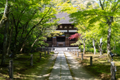 一休寺、本堂。