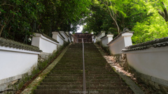 西教寺、御廟