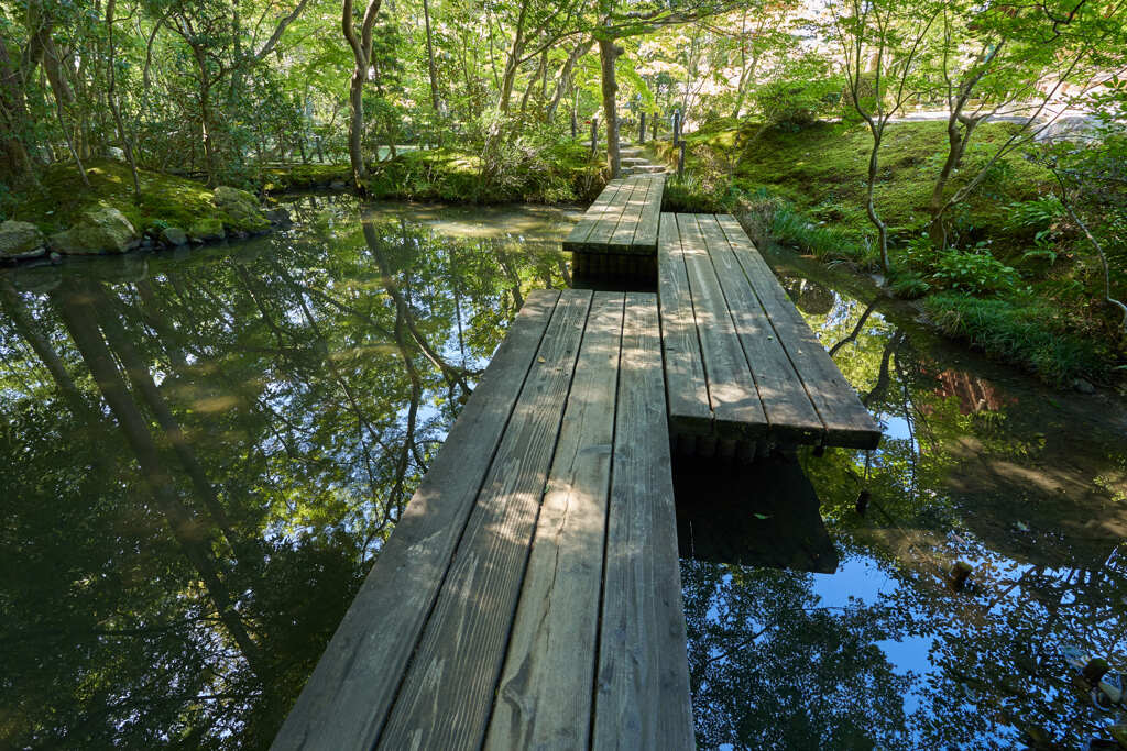 南禅寺、天授庵の池です。