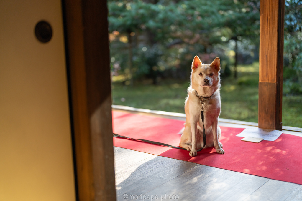 竹寺、くうちゃん。