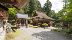 日吉大社散歩、宇佐宮。