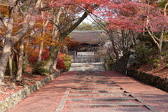 山科、毘沙門堂の秋。