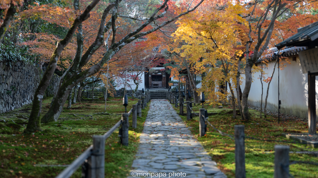 一休寺の秋。