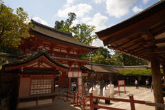 秋の春日神社。