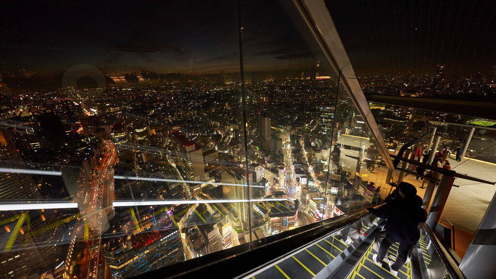 渋谷の夜景。