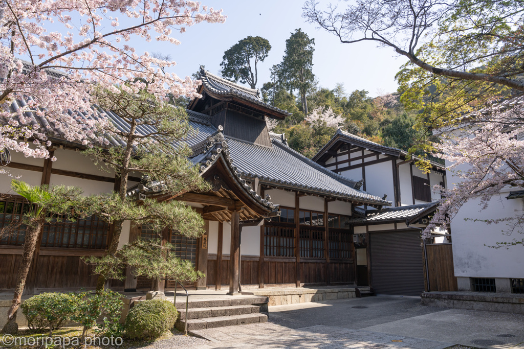 清水寺境内散歩。