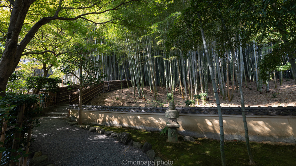 化野念仏寺の竹林。