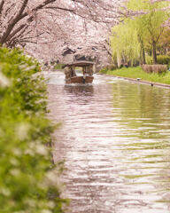 寺田屋周辺。