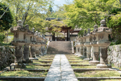 三井寺、唐院。