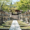 三井寺、唐院。