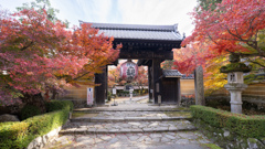 金剛輪寺、黒門。