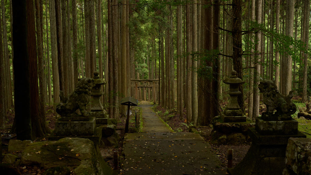 暗い境内。