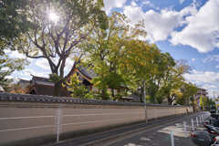 家に帰る道の本住吉神社です。