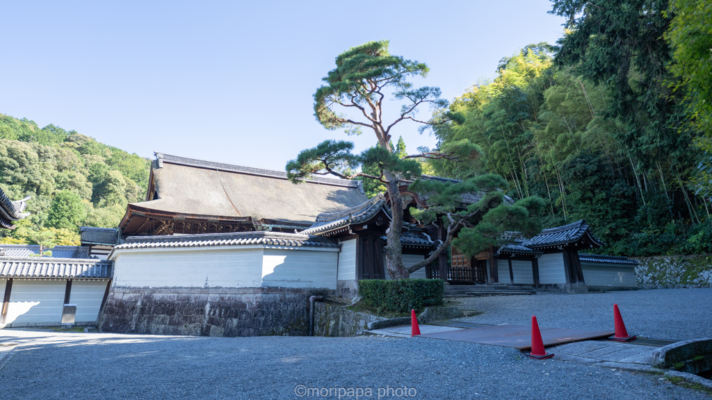 泉涌寺、霊明殿。