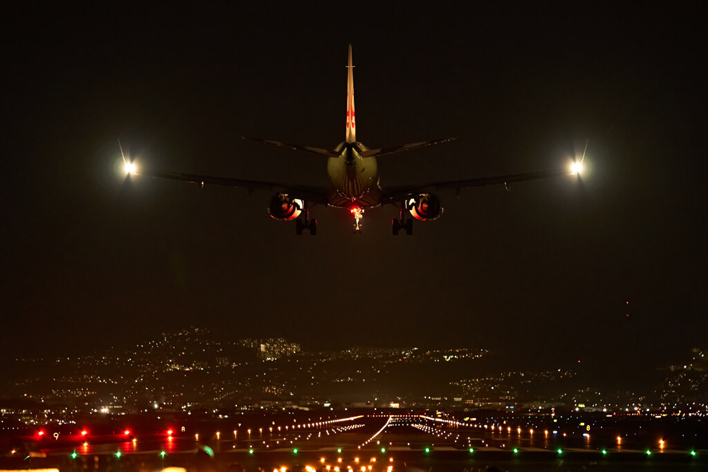 夜空のシマウマ。