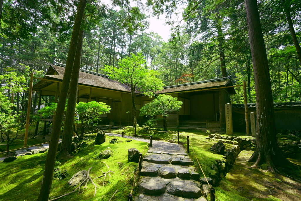 西芳寺の湘南停。