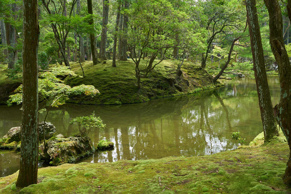 苔寺、西芳寺の池です。