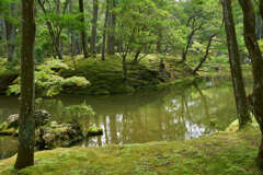苔寺、西芳寺の池です。