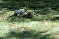 わらべ地蔵像、三千院。