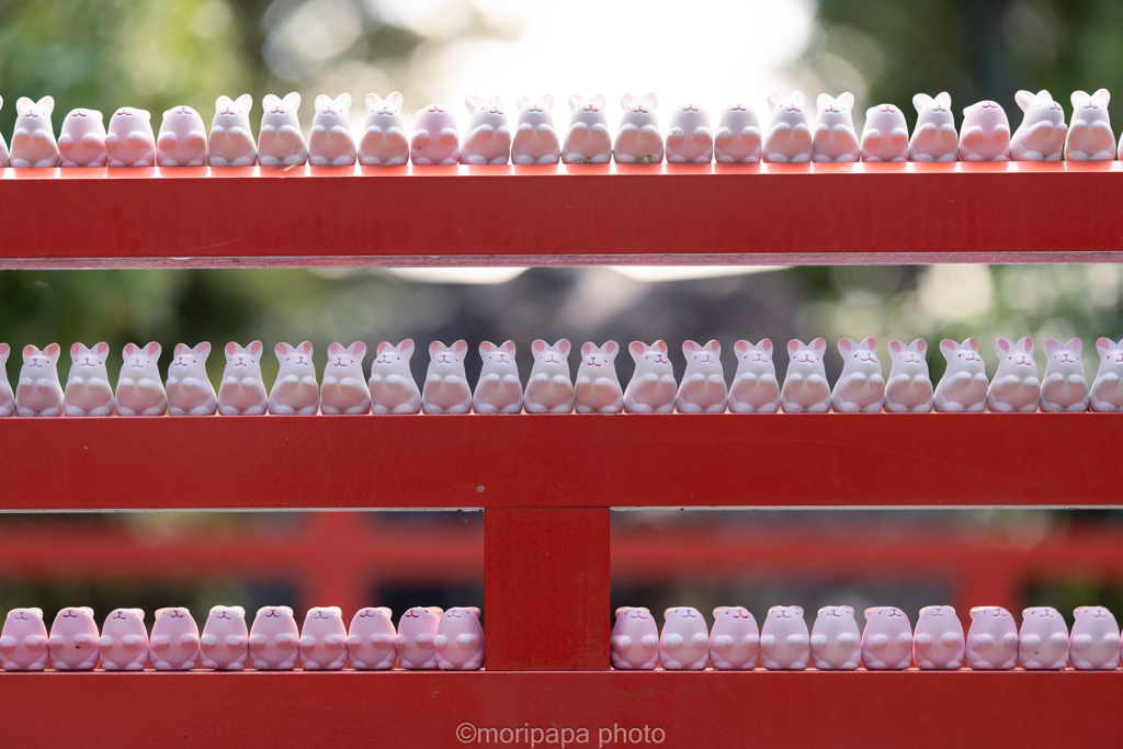 岡崎神社のうさぎ。