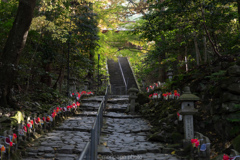 金剛輪寺、本堂までの参道。