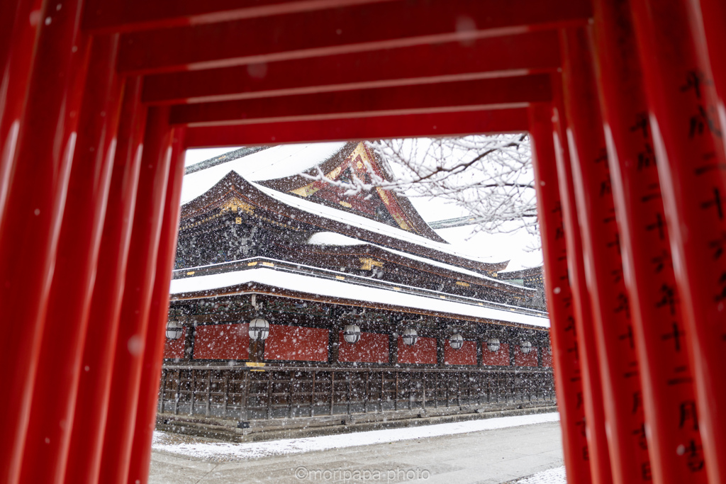 今年も大変お世話になりました。