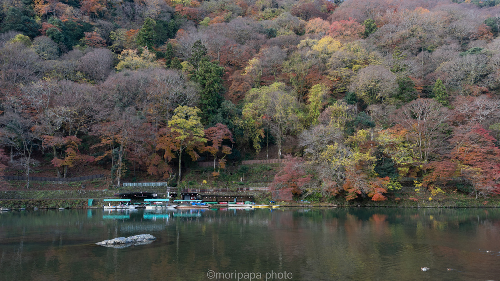 秋、嵐山。