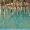 青い池の秋。
