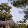 変わった屋根風景。