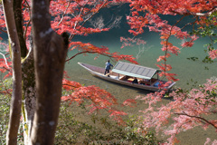 嵐山の朝。