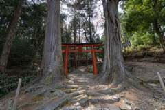 京北、九頭神社。