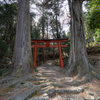 京北、九頭神社。