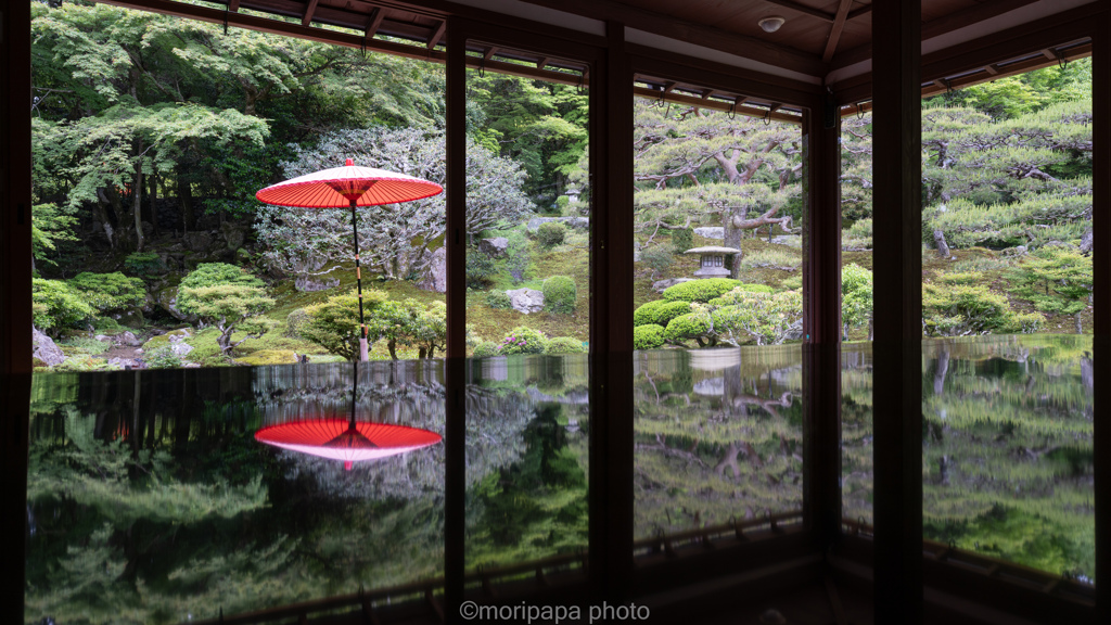 旧竹林院、和傘。