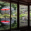 旧竹林院、和傘。