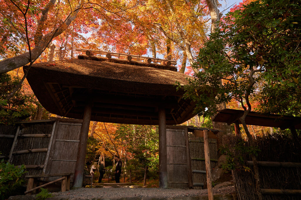 祇王寺（ぎおうじ）の門。