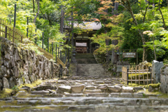 湖東三山、西明寺の二天門。