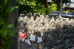 京都の大徳寺です。