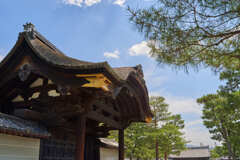 大徳寺の勅使門です。