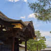 大徳寺の勅使門です。