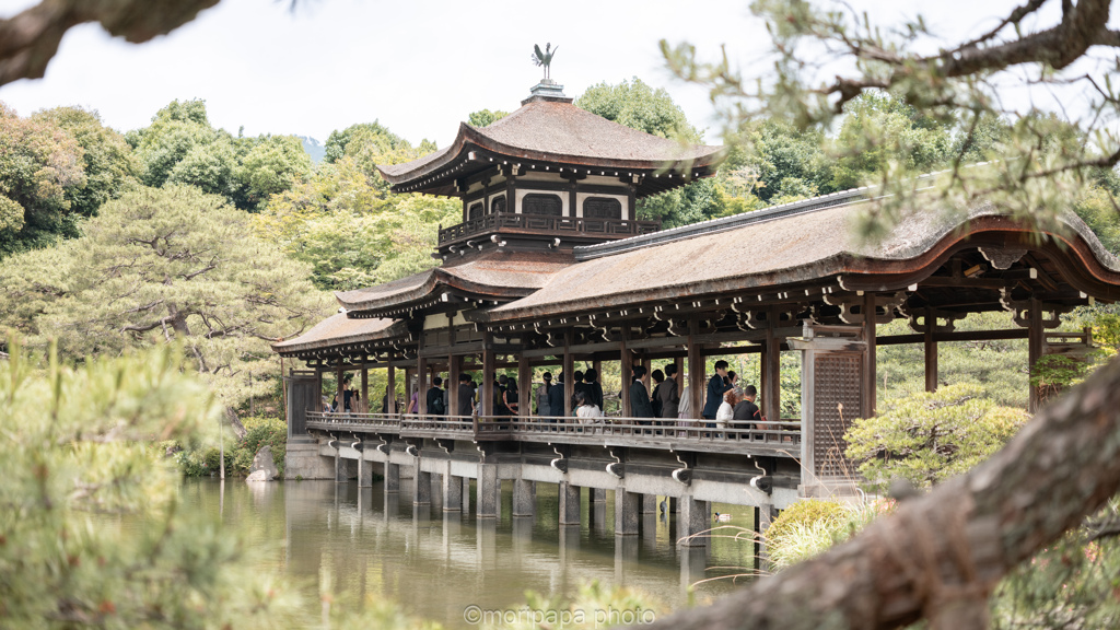 平安神宮散歩。