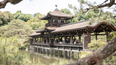 平安神宮散歩。